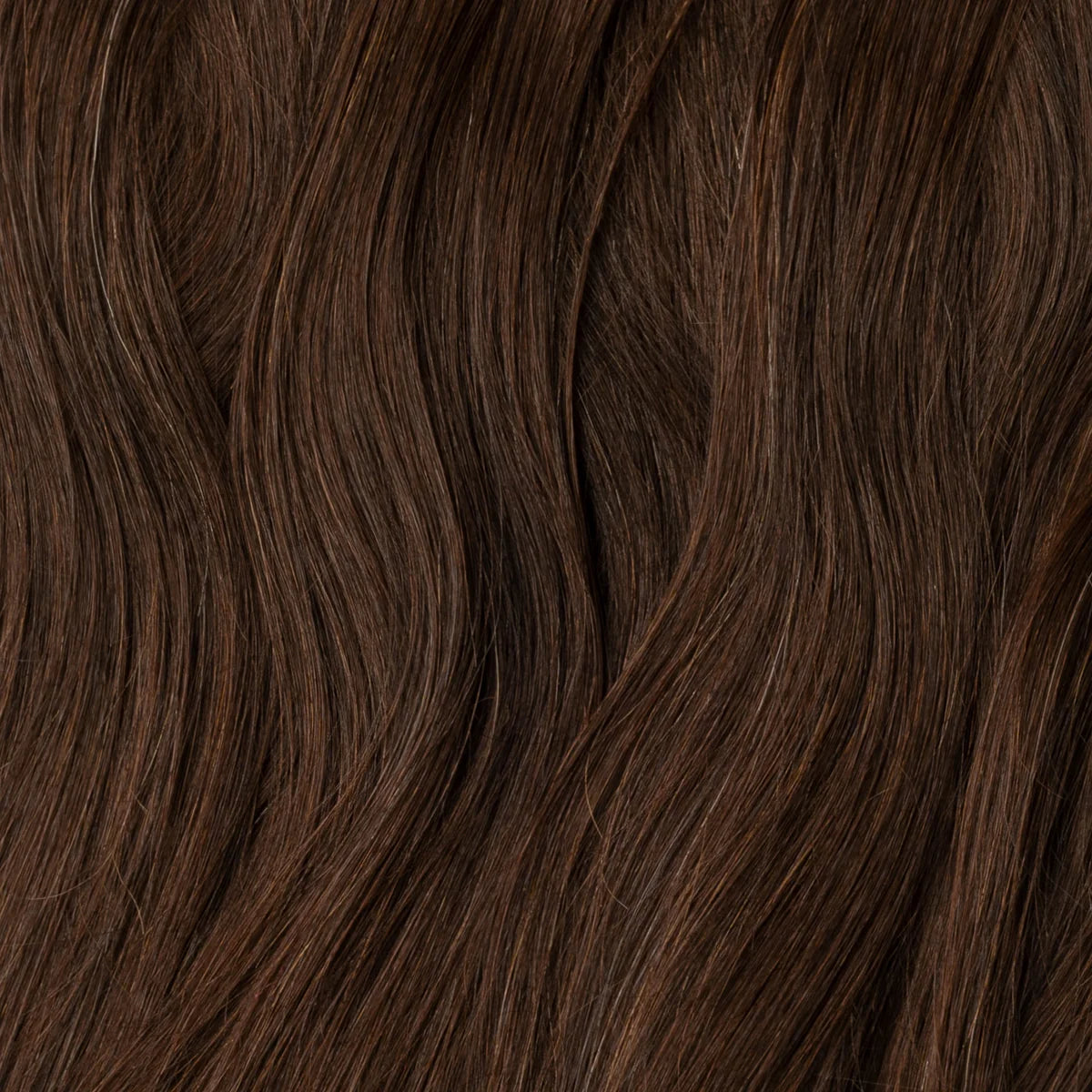 Clip-In Extensions – Russisches Echthaar – (#2)